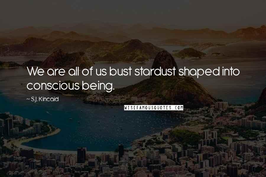 S.J. Kincaid Quotes: We are all of us bust stardust shaped into conscious being.