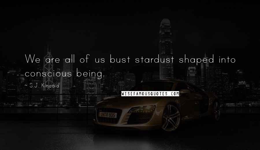 S.J. Kincaid Quotes: We are all of us bust stardust shaped into conscious being.