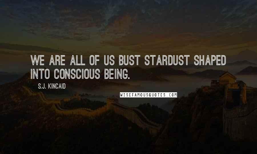 S.J. Kincaid Quotes: We are all of us bust stardust shaped into conscious being.
