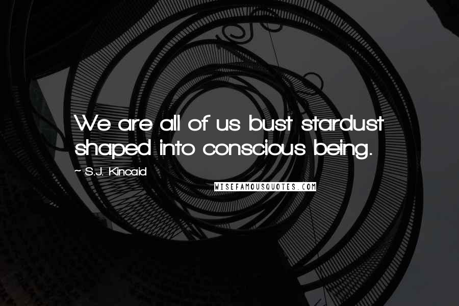 S.J. Kincaid Quotes: We are all of us bust stardust shaped into conscious being.