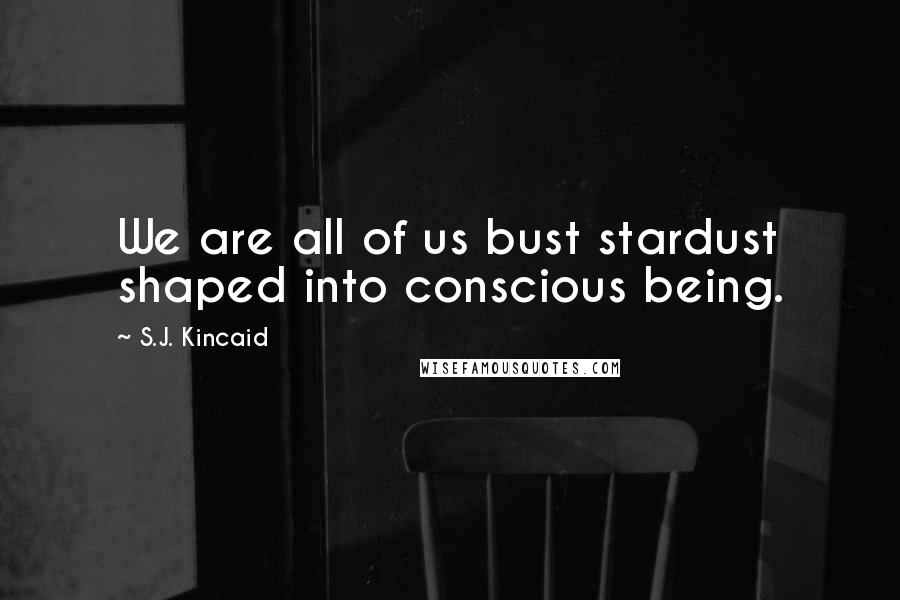 S.J. Kincaid Quotes: We are all of us bust stardust shaped into conscious being.