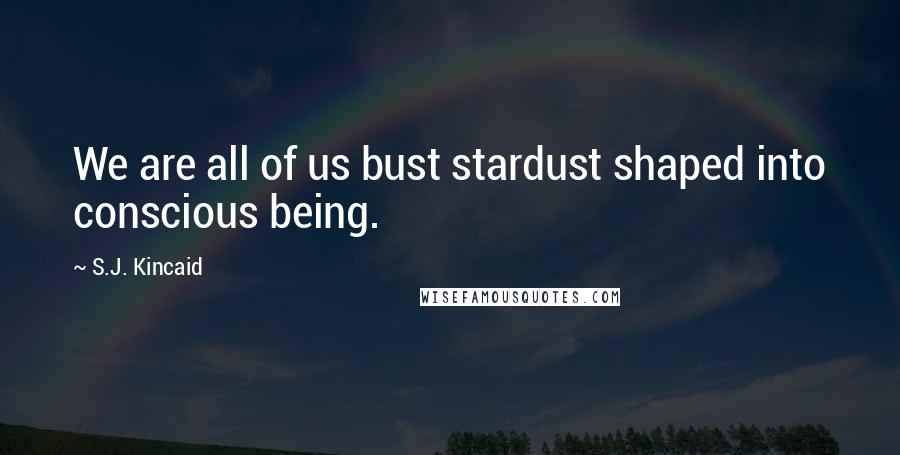 S.J. Kincaid Quotes: We are all of us bust stardust shaped into conscious being.