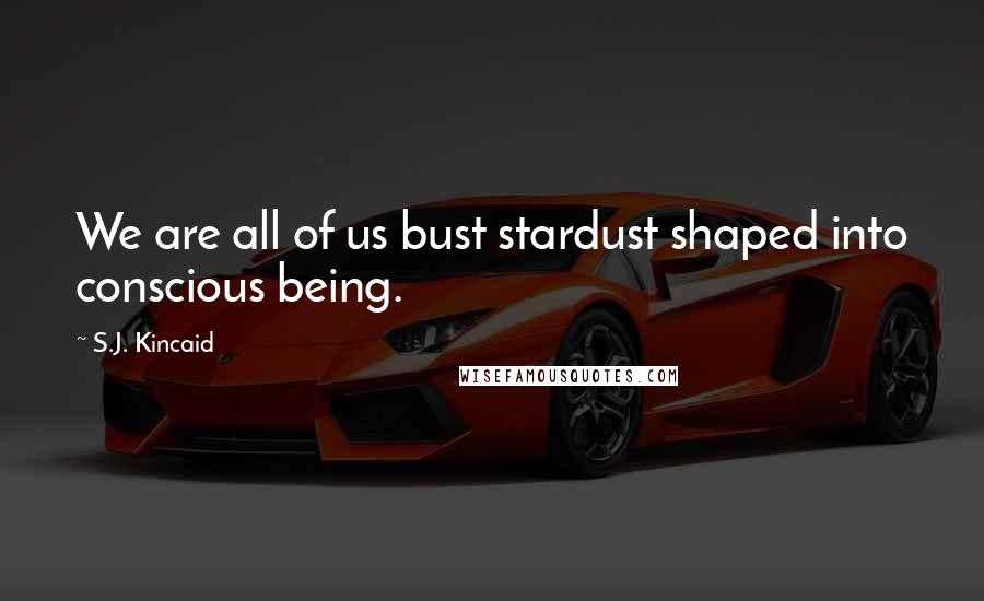S.J. Kincaid Quotes: We are all of us bust stardust shaped into conscious being.