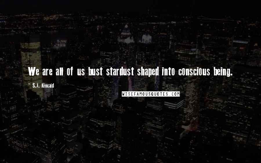 S.J. Kincaid Quotes: We are all of us bust stardust shaped into conscious being.