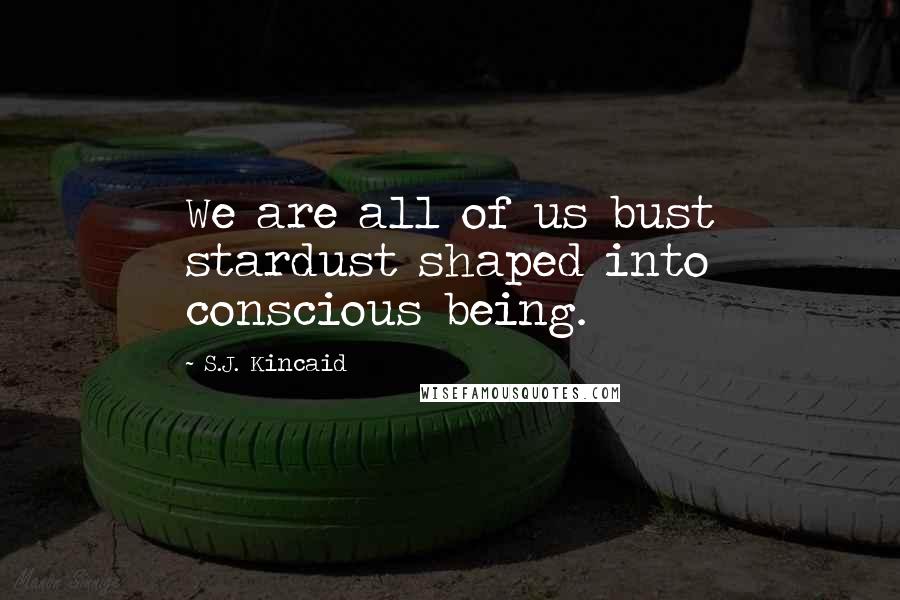 S.J. Kincaid Quotes: We are all of us bust stardust shaped into conscious being.