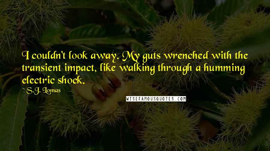 S.J. Lomas Quotes: I couldn't look away. My guts wrenched with the transient impact, like walking through a humming electric shock.