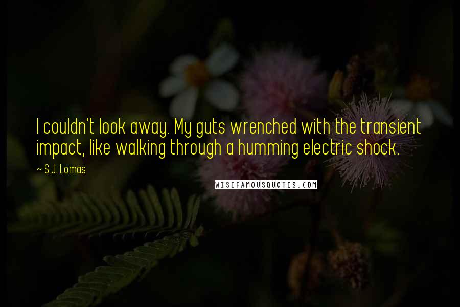 S.J. Lomas Quotes: I couldn't look away. My guts wrenched with the transient impact, like walking through a humming electric shock.