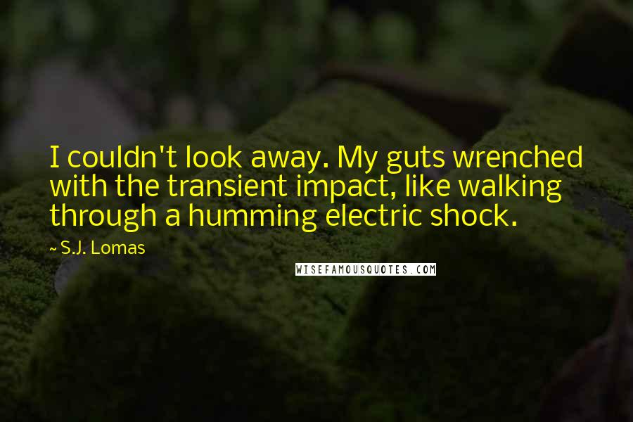 S.J. Lomas Quotes: I couldn't look away. My guts wrenched with the transient impact, like walking through a humming electric shock.