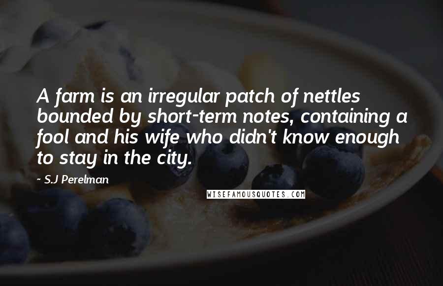 S.J Perelman Quotes: A farm is an irregular patch of nettles bounded by short-term notes, containing a fool and his wife who didn't know enough to stay in the city.