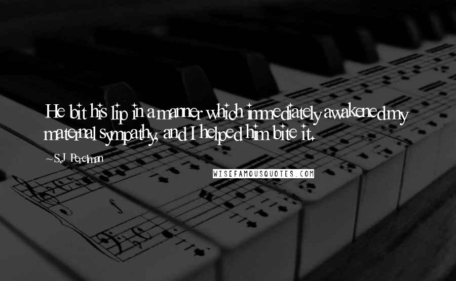 S.J Perelman Quotes: He bit his lip in a manner which immediately awakened my maternal sympathy, and I helped him bite it.