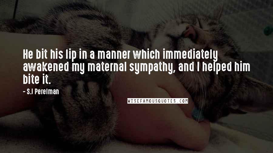 S.J Perelman Quotes: He bit his lip in a manner which immediately awakened my maternal sympathy, and I helped him bite it.