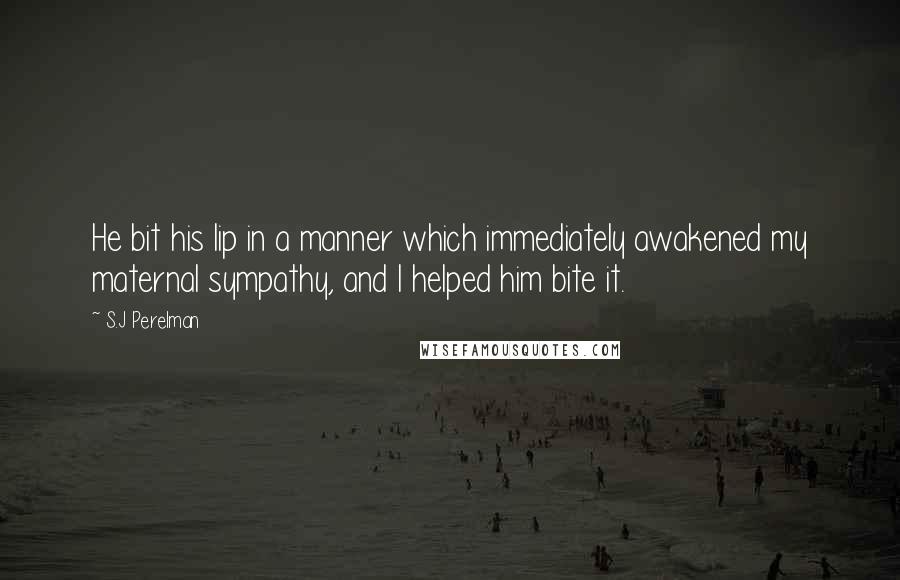 S.J Perelman Quotes: He bit his lip in a manner which immediately awakened my maternal sympathy, and I helped him bite it.