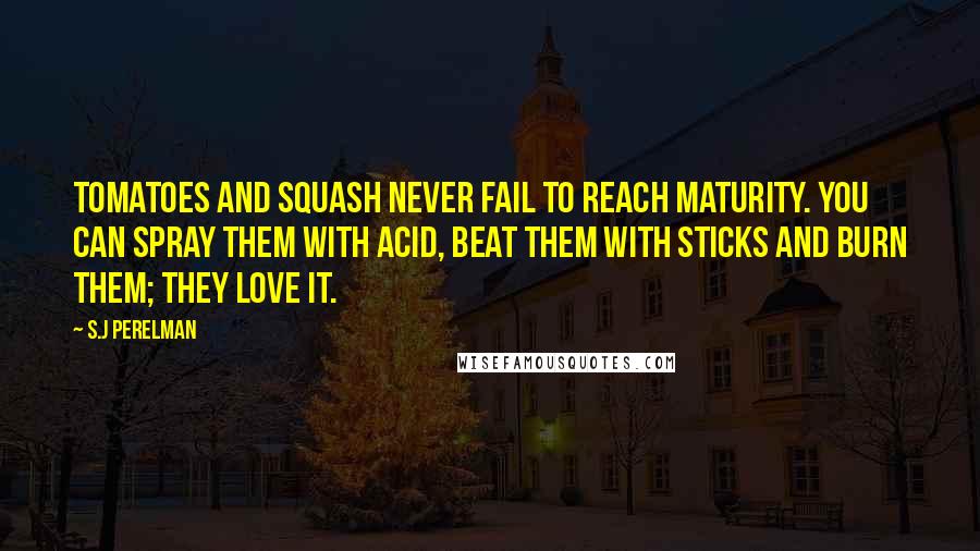S.J Perelman Quotes: Tomatoes and squash never fail to reach maturity. You can spray them with acid, beat them with sticks and burn them; they love it.