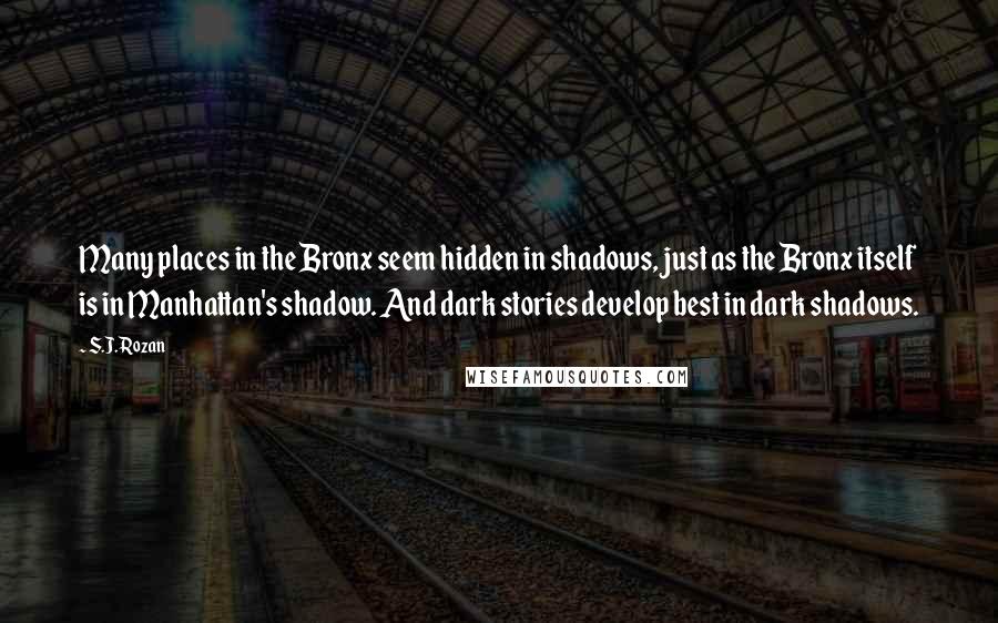 S.J. Rozan Quotes: Many places in the Bronx seem hidden in shadows, just as the Bronx itself is in Manhattan's shadow. And dark stories develop best in dark shadows.
