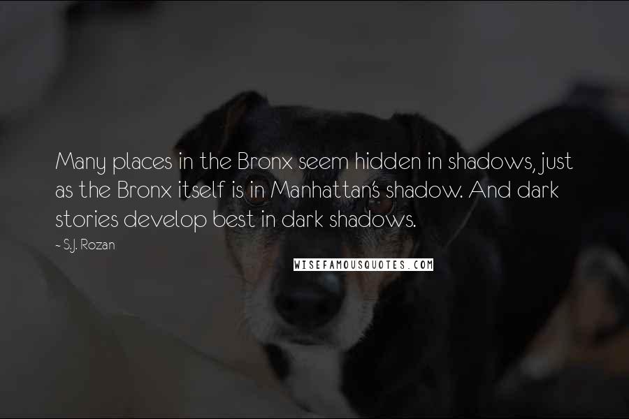 S.J. Rozan Quotes: Many places in the Bronx seem hidden in shadows, just as the Bronx itself is in Manhattan's shadow. And dark stories develop best in dark shadows.