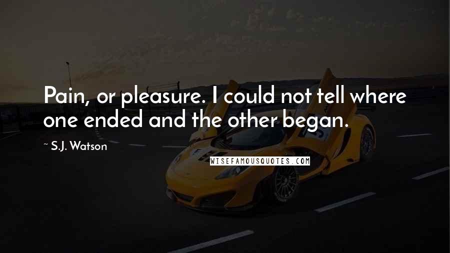 S.J. Watson Quotes: Pain, or pleasure. I could not tell where one ended and the other began.