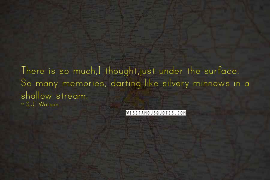 S.J. Watson Quotes: There is so much,I thought,just under the surface. So many memories, darting like silvery minnows in a shallow stream.