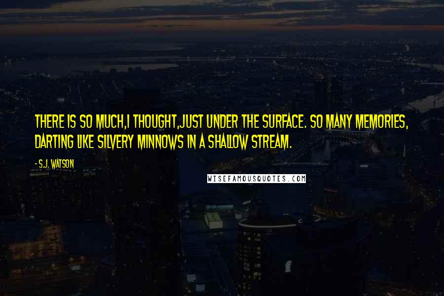 S.J. Watson Quotes: There is so much,I thought,just under the surface. So many memories, darting like silvery minnows in a shallow stream.