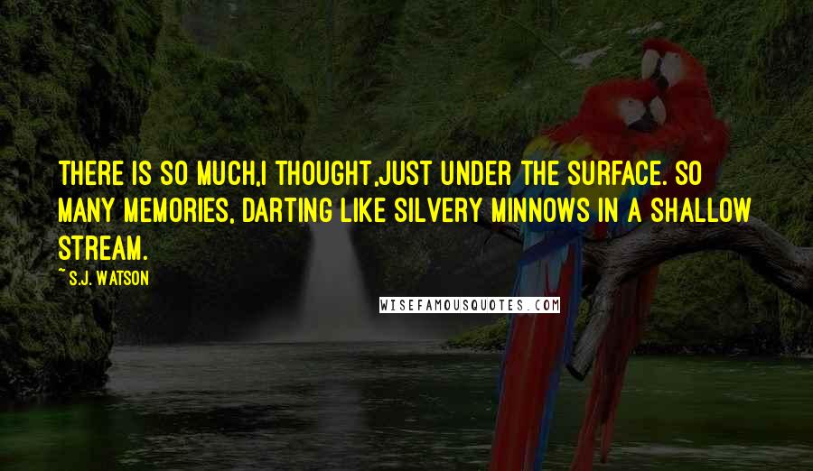 S.J. Watson Quotes: There is so much,I thought,just under the surface. So many memories, darting like silvery minnows in a shallow stream.