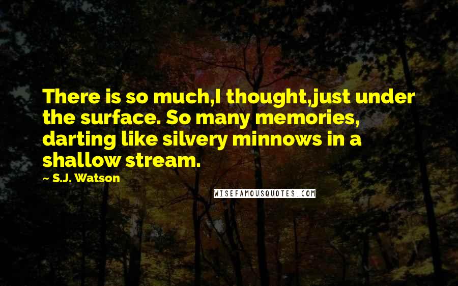 S.J. Watson Quotes: There is so much,I thought,just under the surface. So many memories, darting like silvery minnows in a shallow stream.