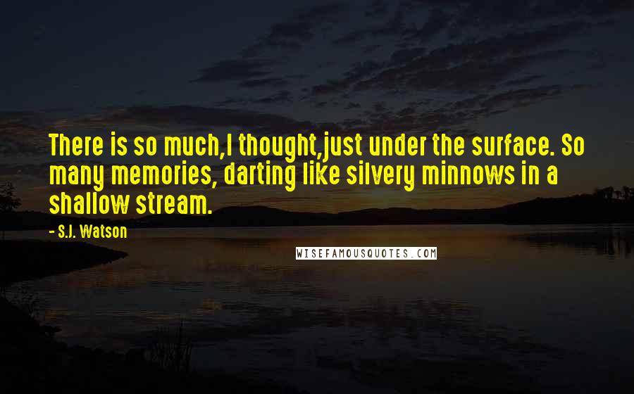 S.J. Watson Quotes: There is so much,I thought,just under the surface. So many memories, darting like silvery minnows in a shallow stream.