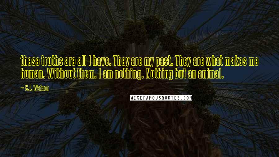 S.J. Watson Quotes: these truths are all I have. They are my past. They are what makes me human. Without them, I am nothing. Nothing but an animal.