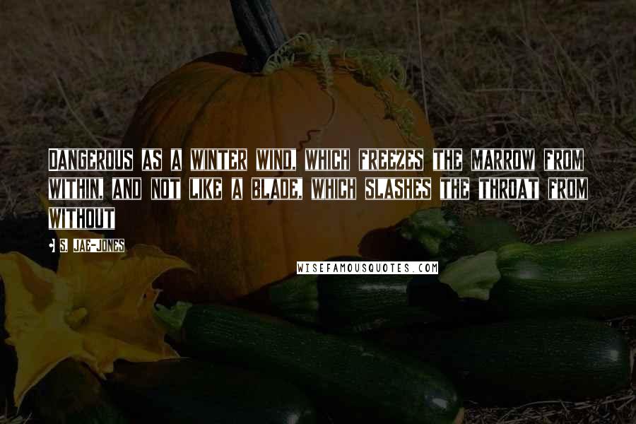 S. Jae-Jones Quotes: Dangerous as a winter wind, which freezes the marrow from within, and not like a blade, which slashes the throat from without