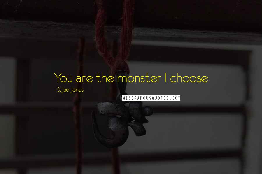 S. Jae-Jones Quotes: You are the monster I choose