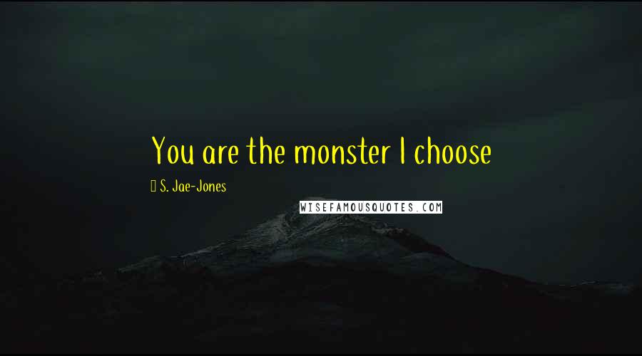 S. Jae-Jones Quotes: You are the monster I choose