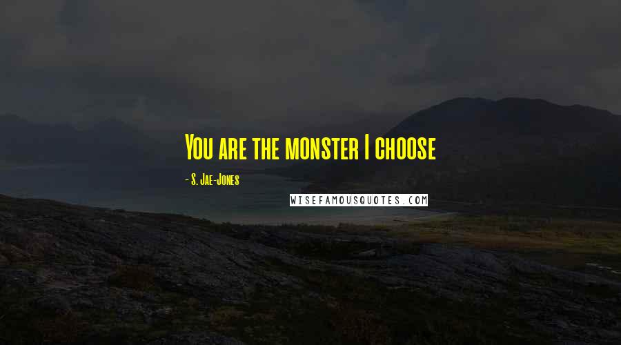 S. Jae-Jones Quotes: You are the monster I choose