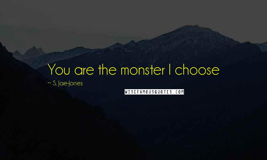 S. Jae-Jones Quotes: You are the monster I choose