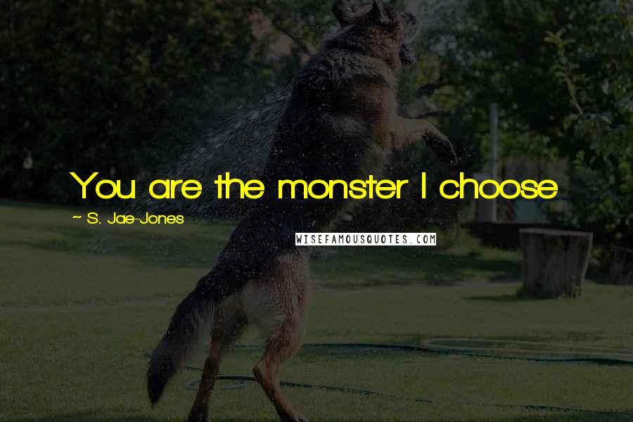 S. Jae-Jones Quotes: You are the monster I choose