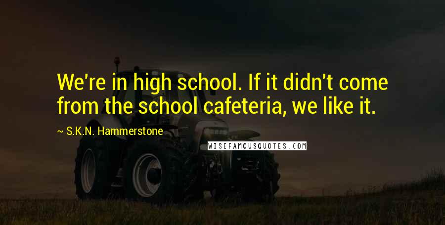 S.K.N. Hammerstone Quotes: We're in high school. If it didn't come from the school cafeteria, we like it.