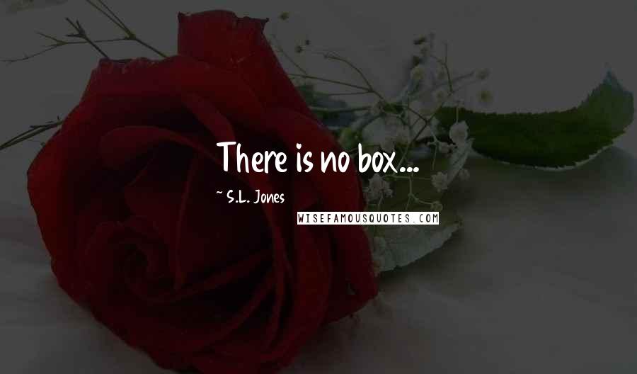 S.L. Jones Quotes: There is no box...