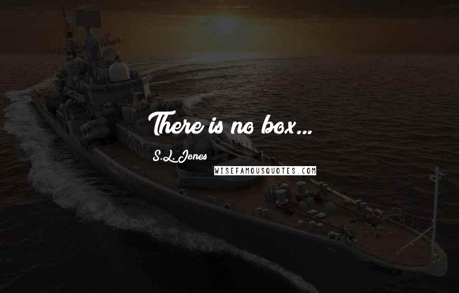 S.L. Jones Quotes: There is no box...