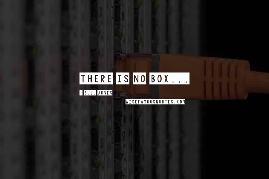 S.L. Jones Quotes: There is no box...