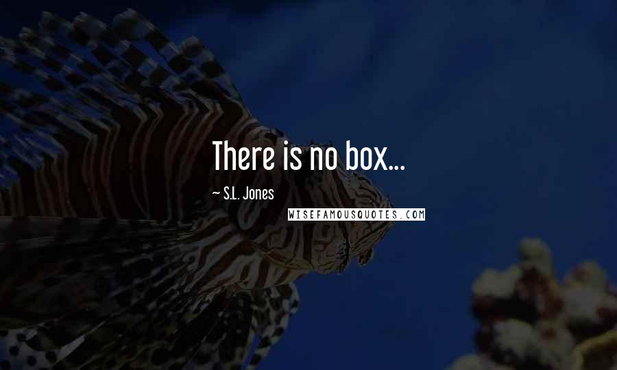 S.L. Jones Quotes: There is no box...