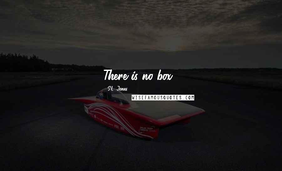 S.L. Jones Quotes: There is no box...