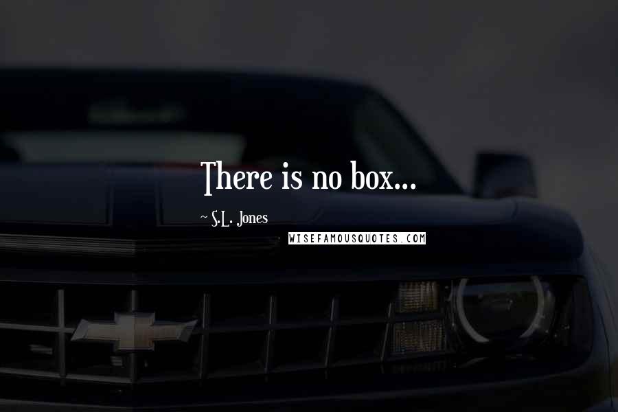 S.L. Jones Quotes: There is no box...