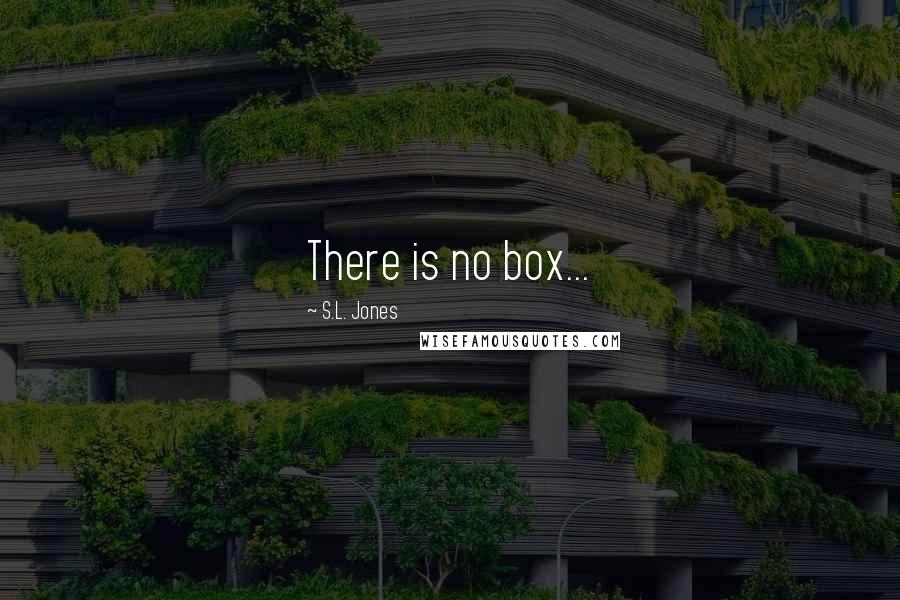 S.L. Jones Quotes: There is no box...