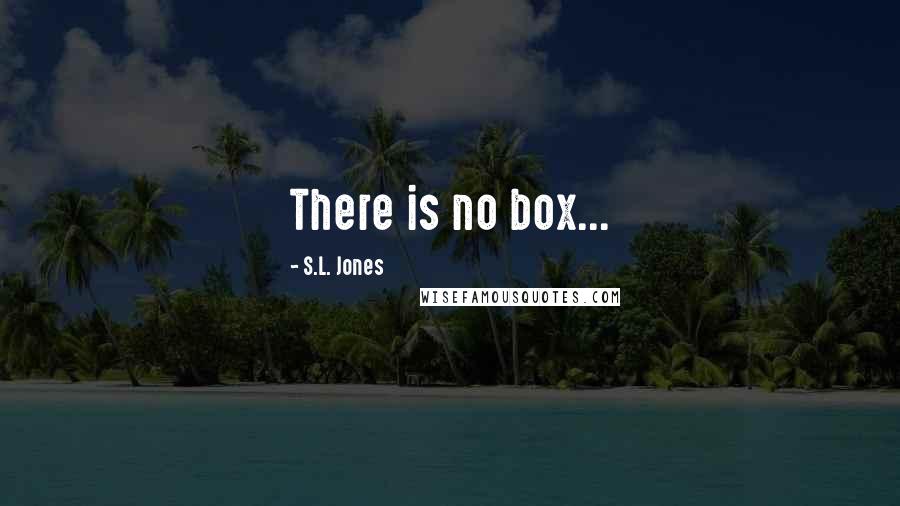 S.L. Jones Quotes: There is no box...