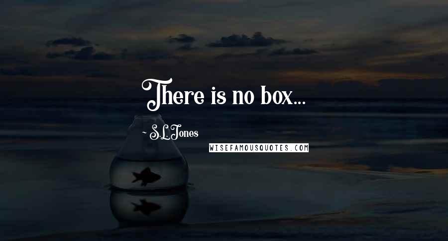 S.L. Jones Quotes: There is no box...