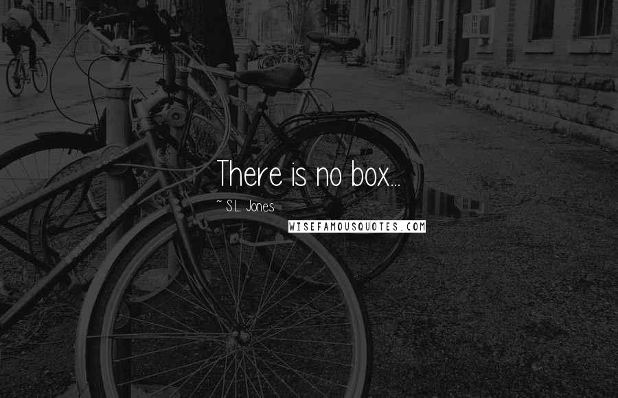 S.L. Jones Quotes: There is no box...