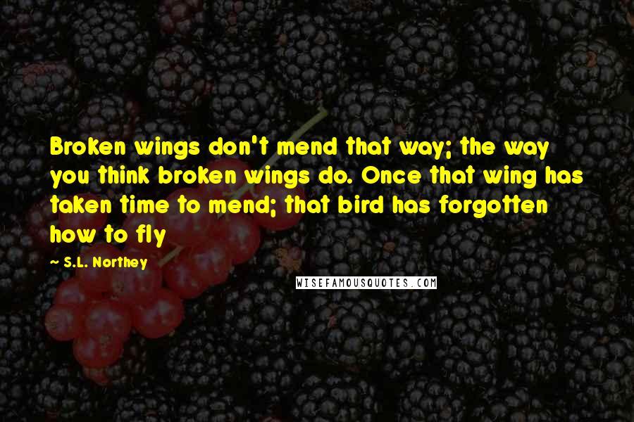 S.L. Northey Quotes: Broken wings don't mend that way; the way you think broken wings do. Once that wing has taken time to mend; that bird has forgotten how to fly