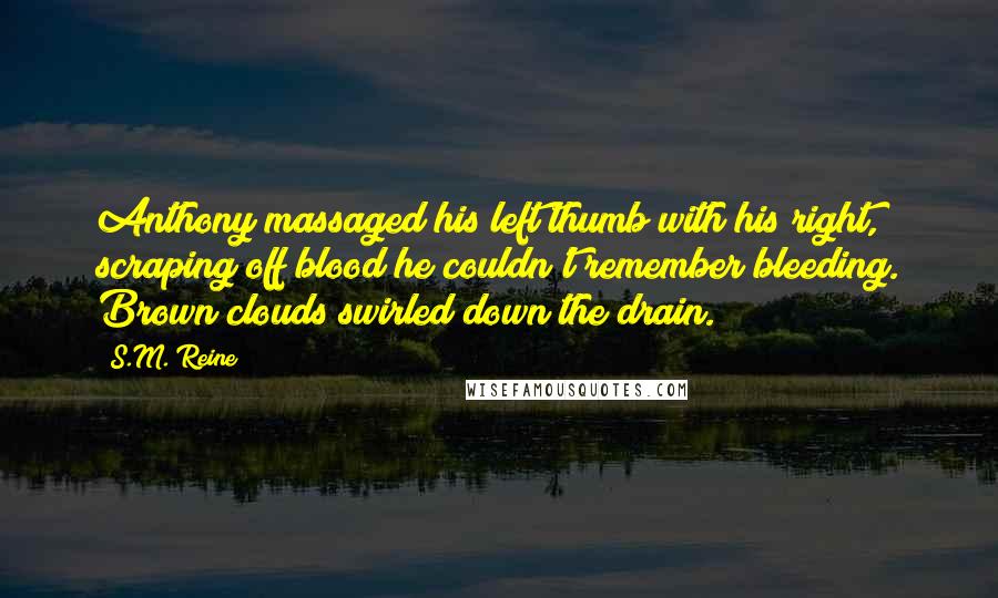 S.M. Reine Quotes: Anthony massaged his left thumb with his right, scraping off blood he couldn't remember bleeding. Brown clouds swirled down the drain.