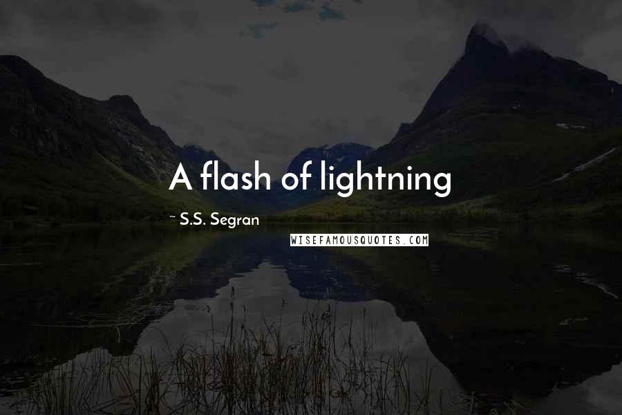 S.S. Segran Quotes: A flash of lightning