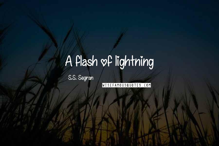 S.S. Segran Quotes: A flash of lightning