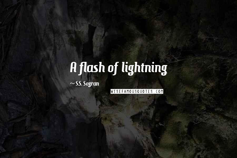 S.S. Segran Quotes: A flash of lightning