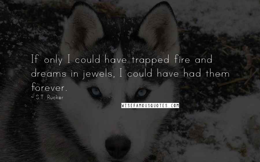 S.T. Rucker Quotes: If only I could have trapped fire and dreams in jewels, I could have had them forever.