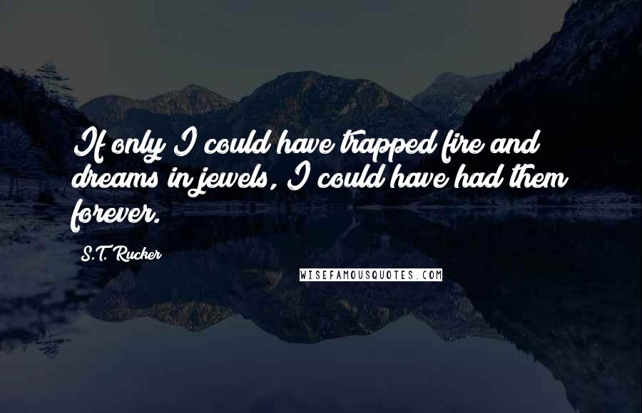 S.T. Rucker Quotes: If only I could have trapped fire and dreams in jewels, I could have had them forever.